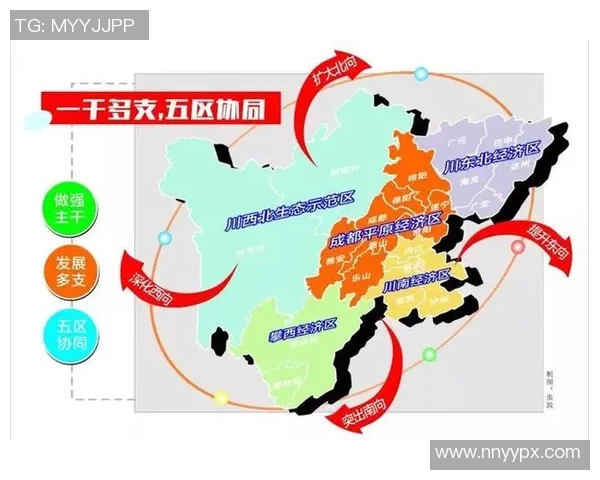 重磅专题：探秘成都排球队中路突破战术的创新与发展