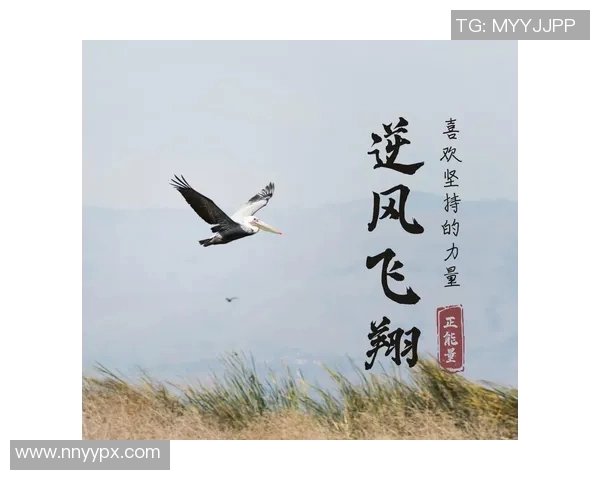 飞马与梦想的胜率较量探讨如何在追梦路上提升成功概率