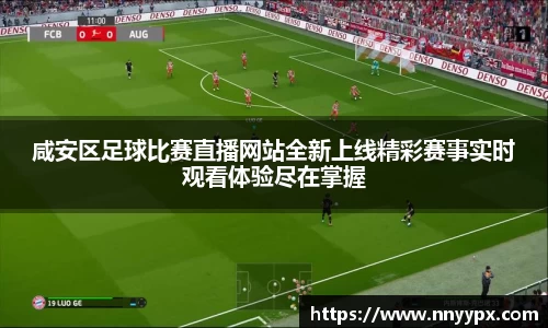 DB真人网站