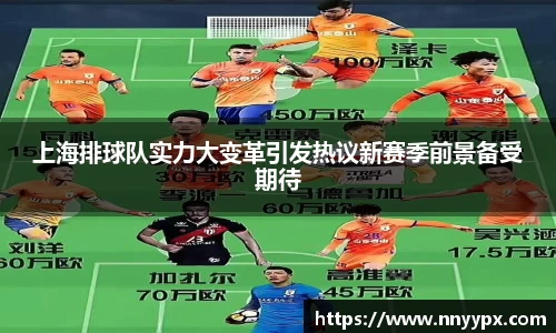 DB旗舰官网